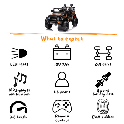 Toyota FJ Cruiser - Black