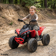 Can Am Renegade 850 - Red