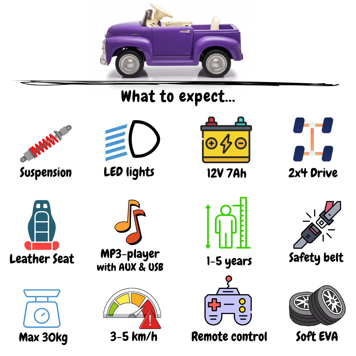 Chevrolet 3100 - Paars