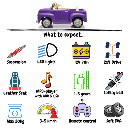 Chevrolet 3100 - Paars