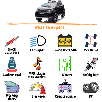 Land Rover Discovery S - Zwart